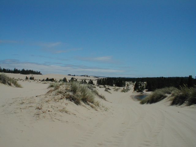 View of the dunes