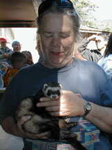 Jancy pets a ferret