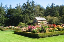 Gardener's cottage in summer