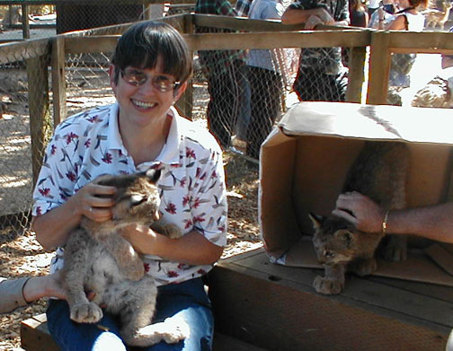 June and Asian Lynx cubs now a little over 4 months