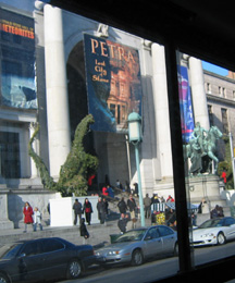 Museum of Natural History with Christmas dinosaurs