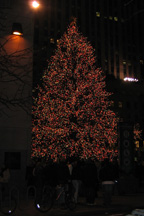 Tree at Rockefeller Center